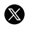 x logo